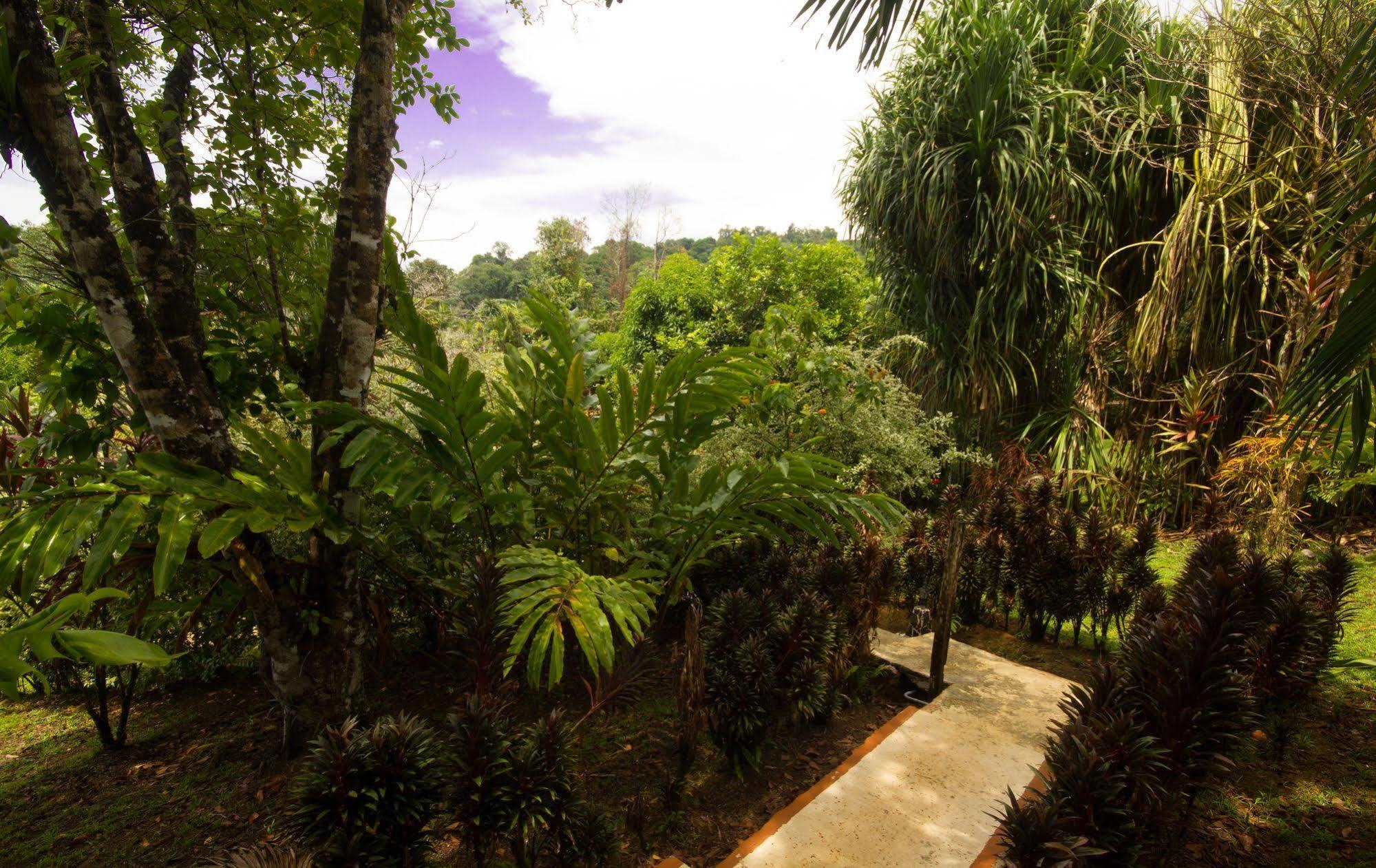 Hotel Rancho Corcovado Drakes Bay Exterior foto